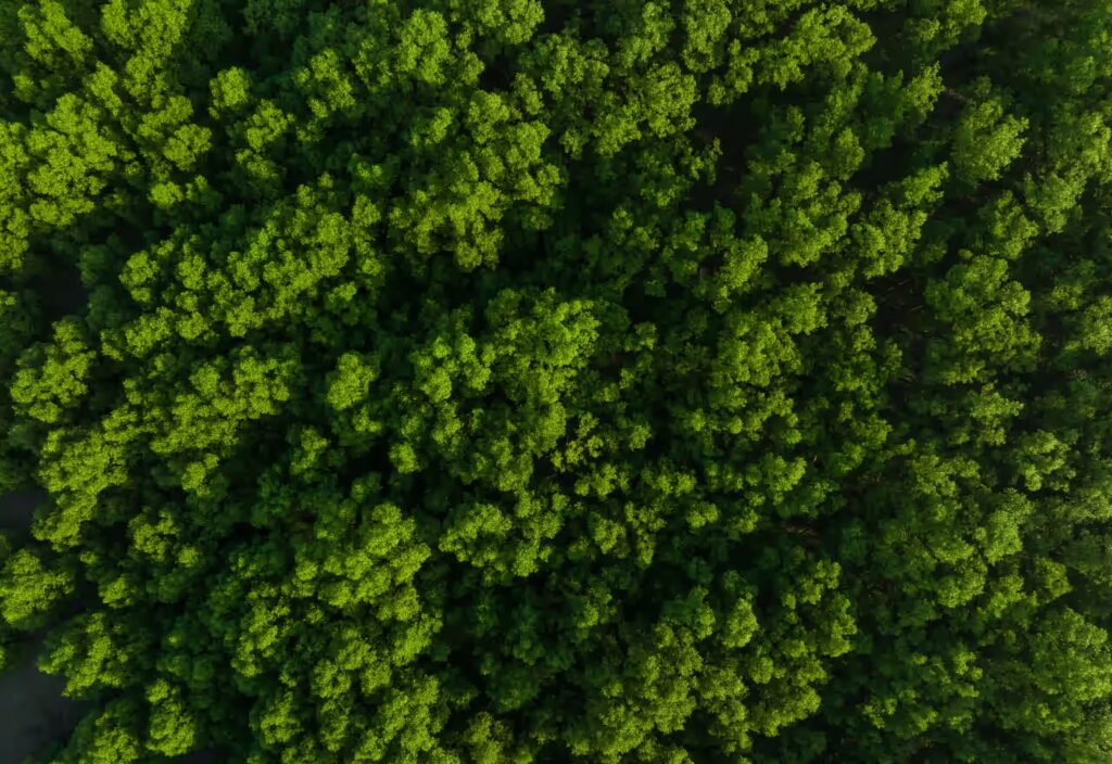 DIVISION - Environment
