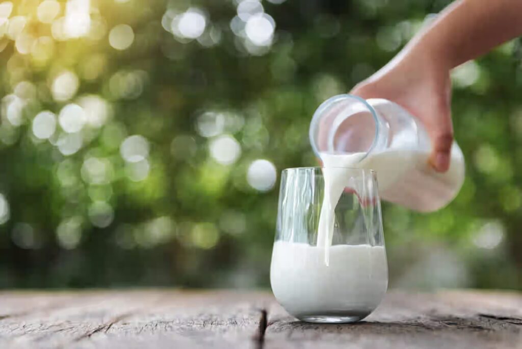 DAIRY